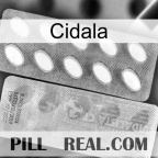 Cidala 42